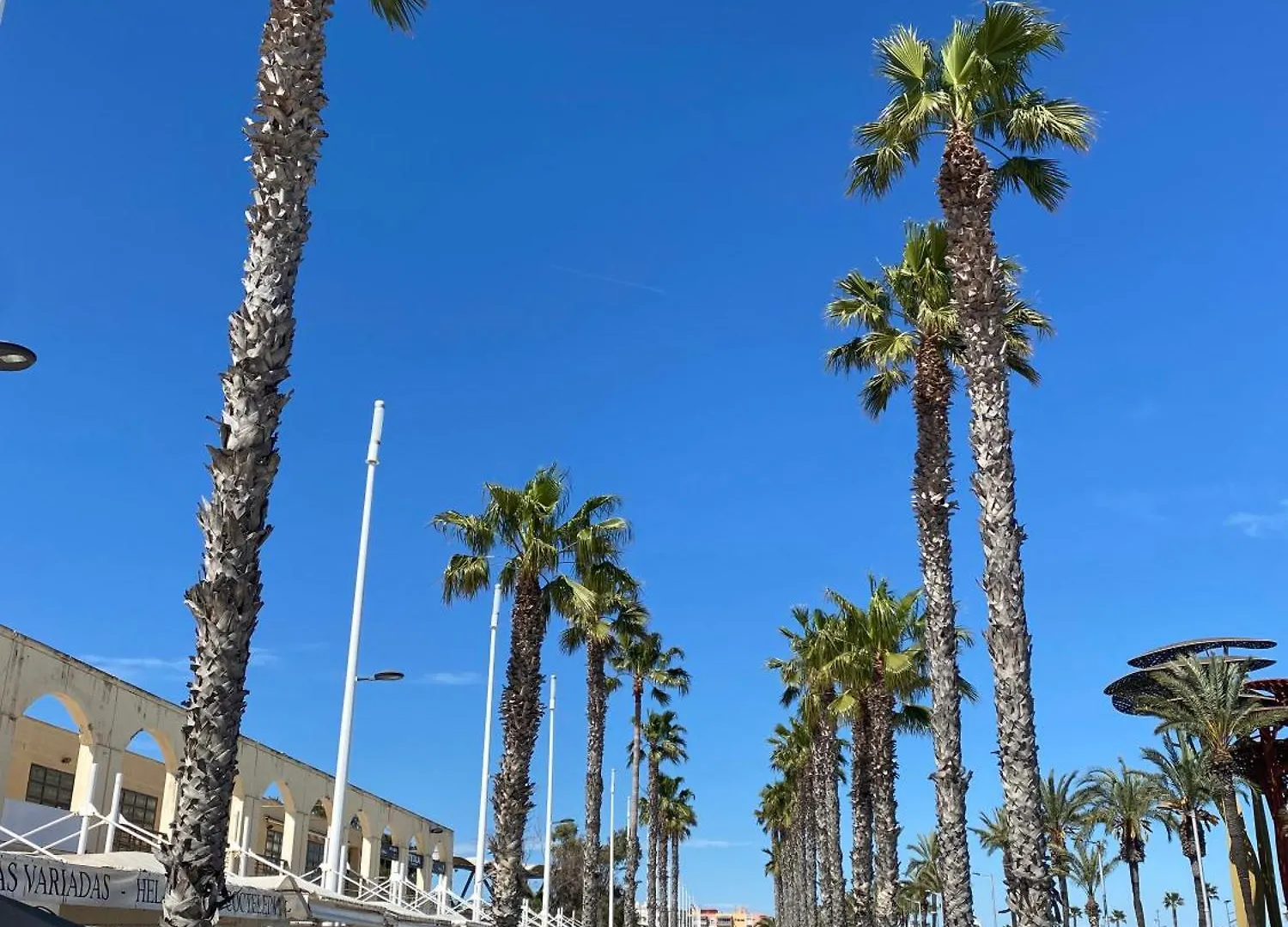 SUN&BEACH lovers apartemento 14119 La Pineda Spagna